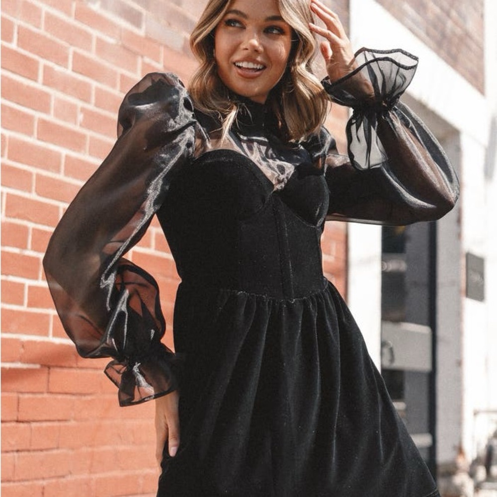 Petal & Pup Blaire Organza & Velvet Long Sleeve Minidress
